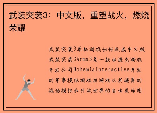 武装突袭3：中文版，重塑战火，燃烧荣耀